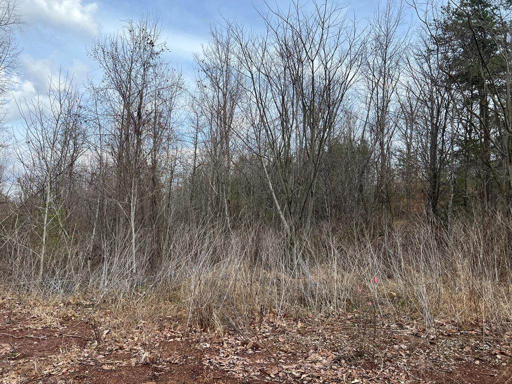 Blue Springs Road - Photo 1