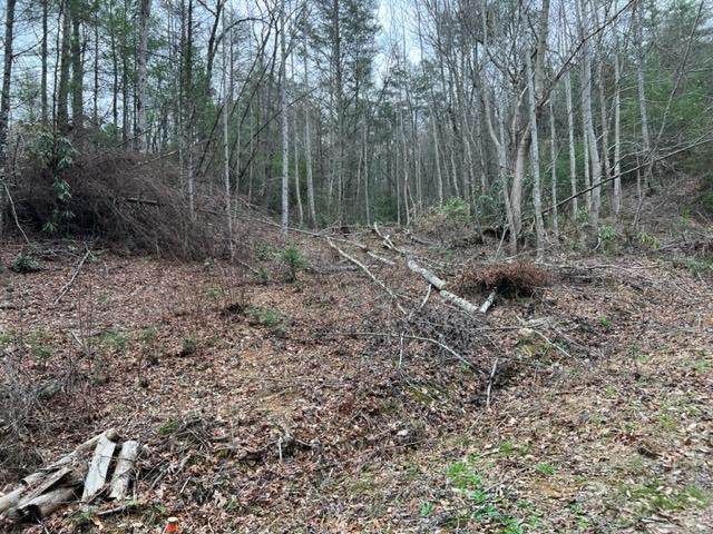 Lot 3D Coy Rhea Way - Photo 1