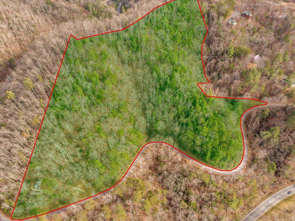 Lot Tr1r King Branch Road - Photo 1