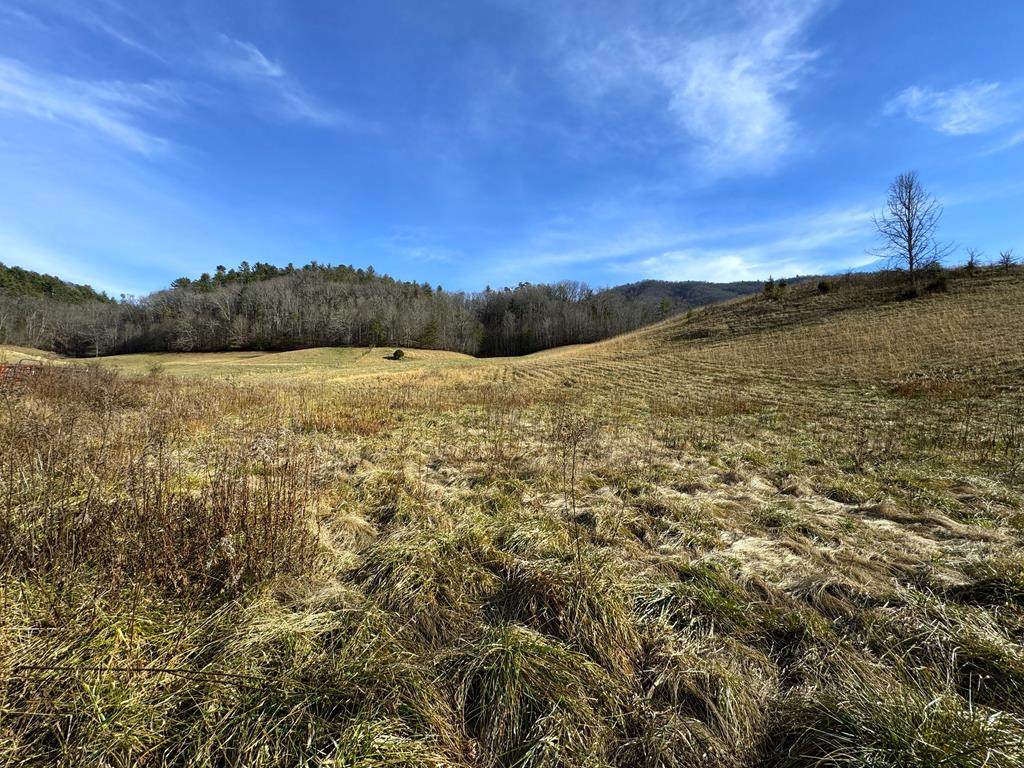 151 Timber Ridge Road - Photo 1
