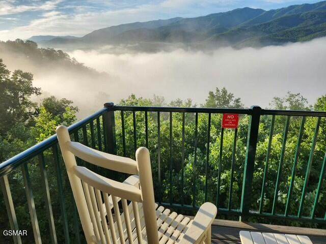 3710 Weber Road - Photo 1