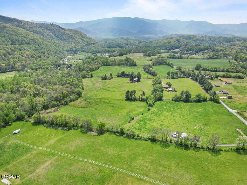 3858 Holders Grove Road - Photo 1