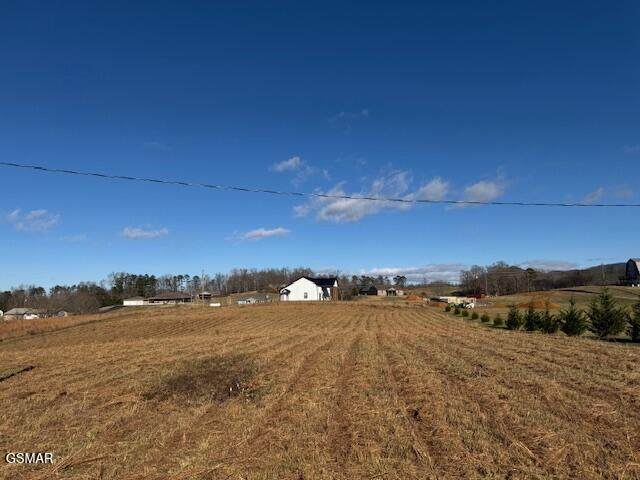 162 County Line Road - Photo 1