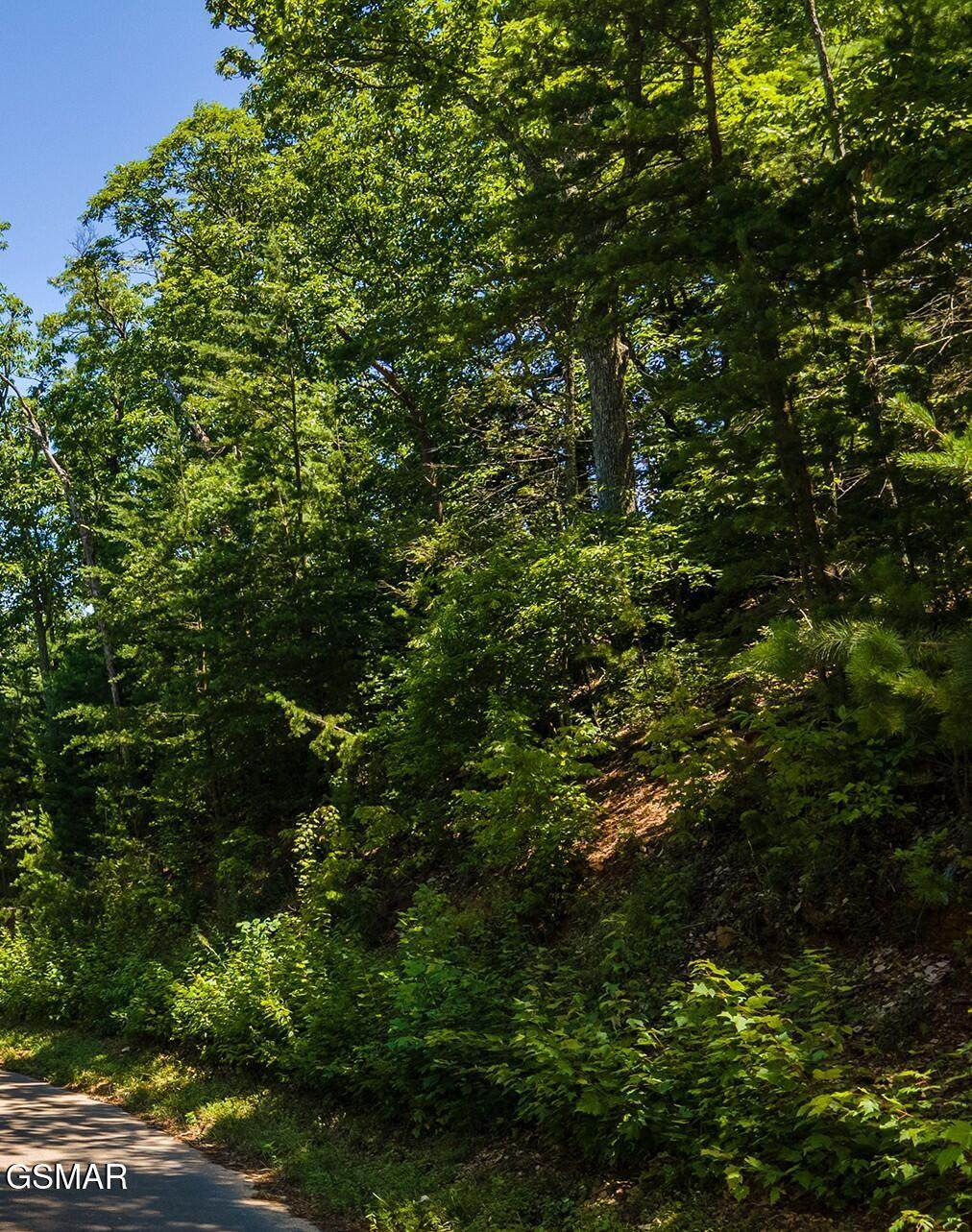 Lot 1 Norton Creek - Photo 1