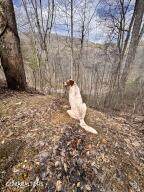 132 Sugar Maple Way - Photo 60