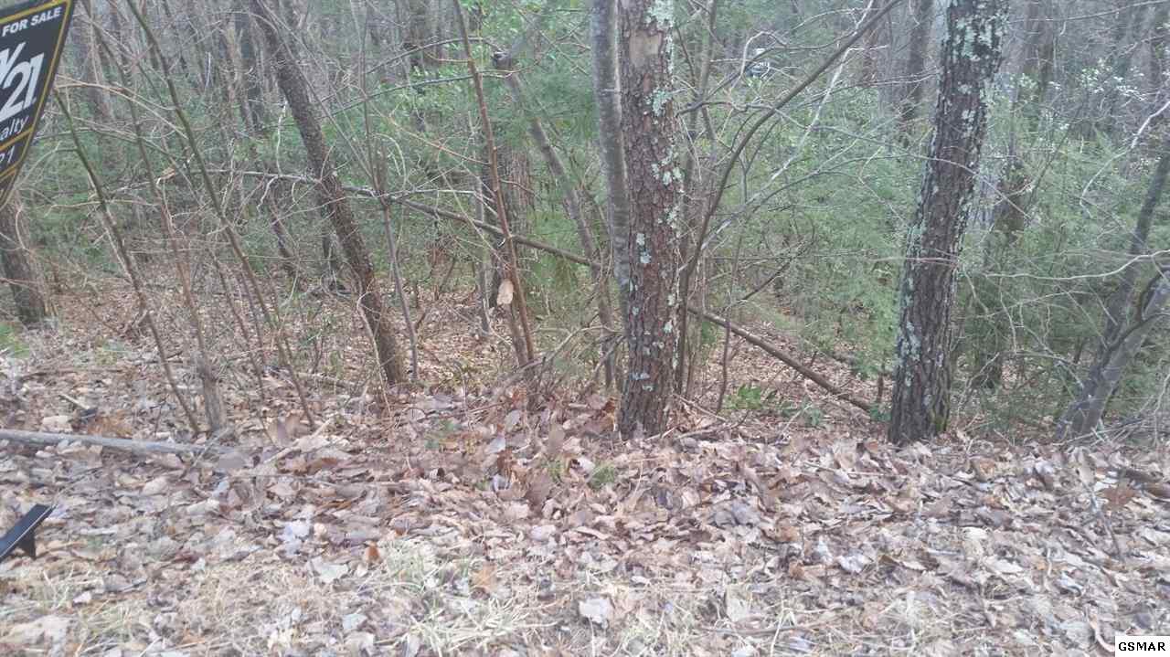 Lot 211 Cliff Branch Rd - Photo 1