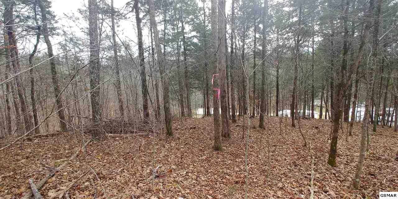 15 acres Cherrybrook Way - Photo 1
