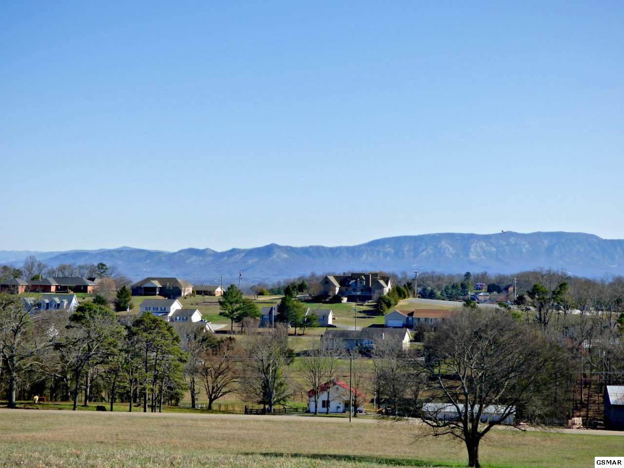 Lot 4 Valley Home Rd - Photo 1