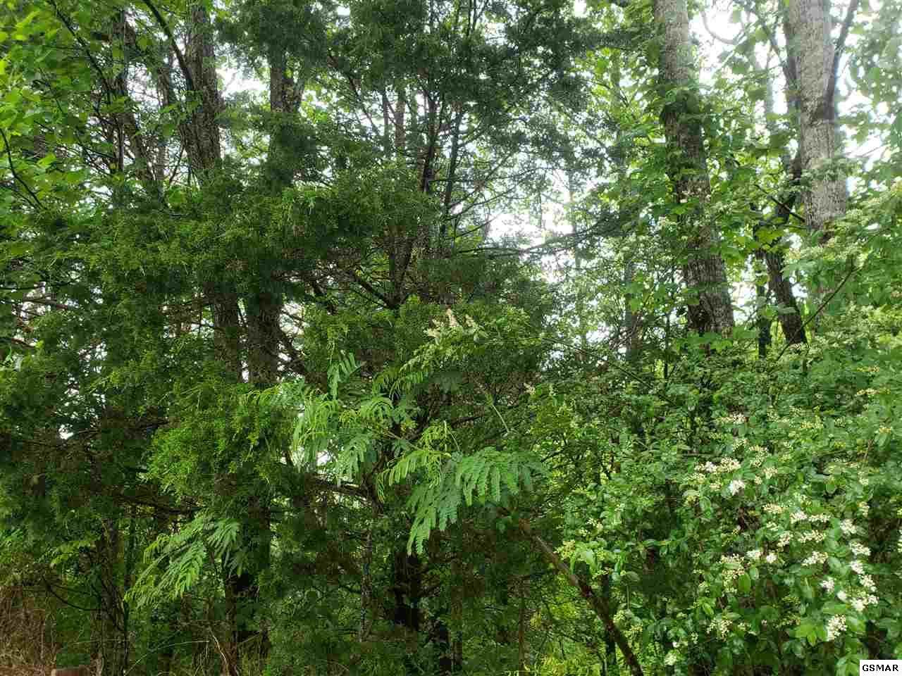Lot Lot #6 Allenridge Dr - Photo 1 Lot Lot #6 Allenridge Dr - Photo 1