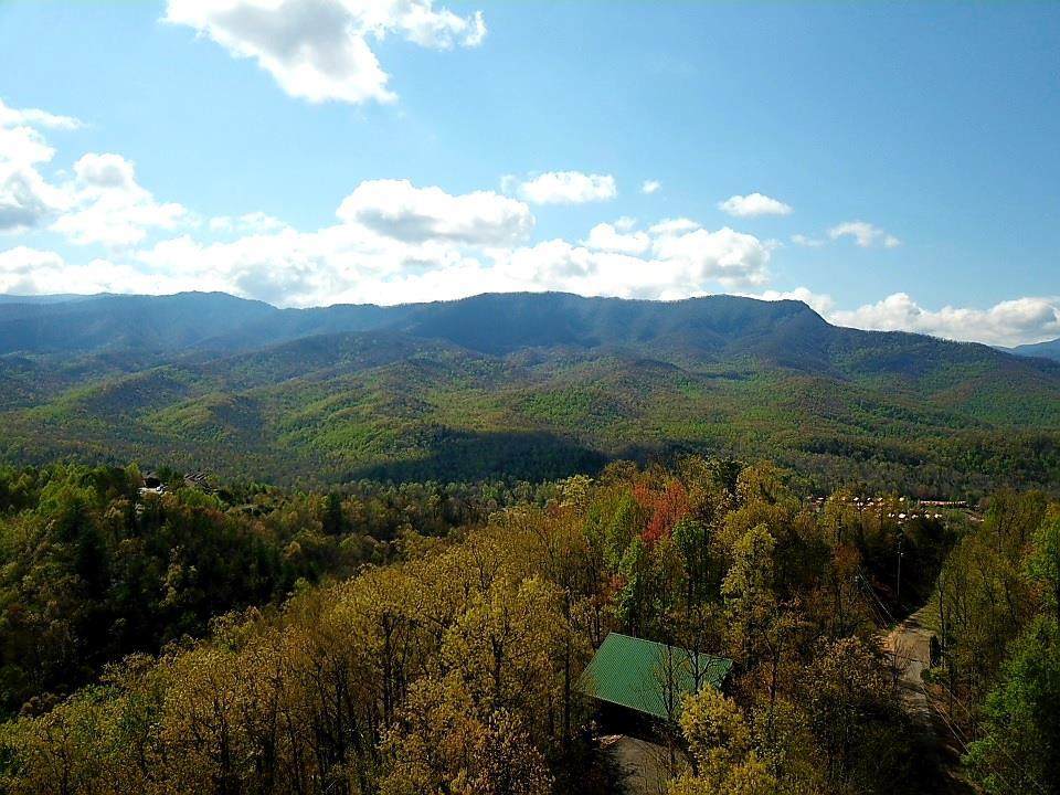 Lot 1 Pinnacle Vista - Photo 1