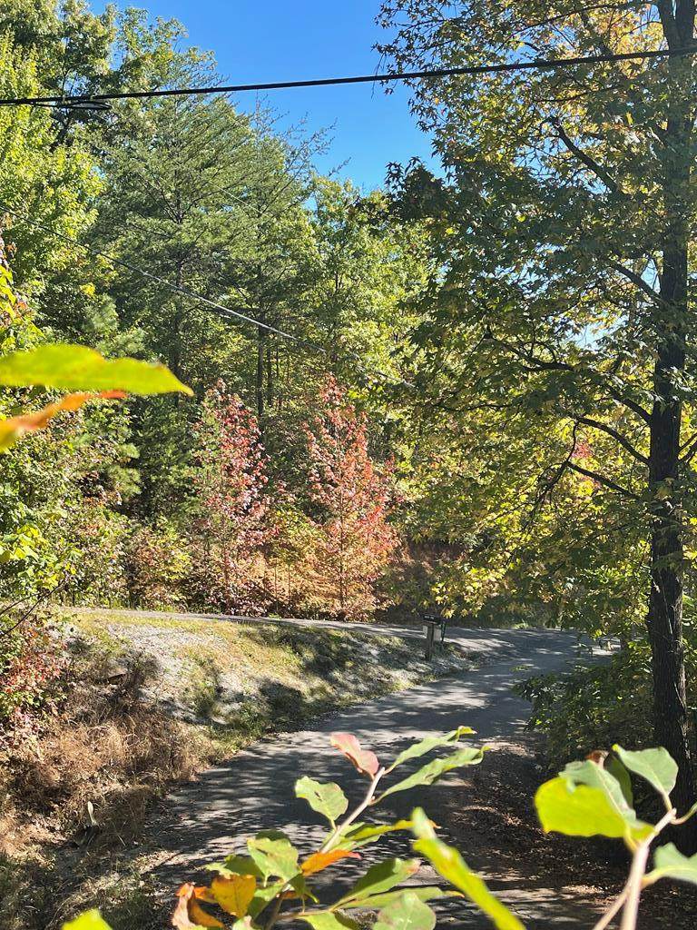 Overholt Trail Lot#10 - Photo 1