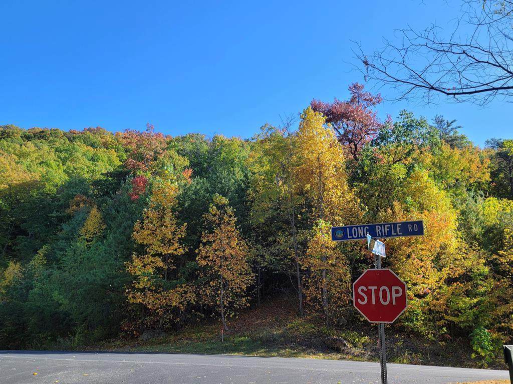 Lot 133 Long Rifle Rd - Photo 1