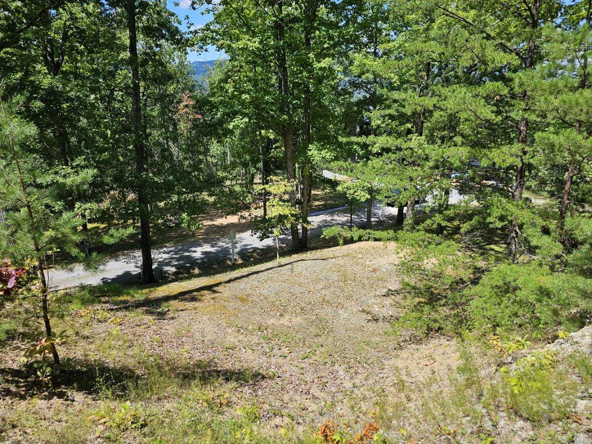 Lot 7-AR Village Circle - Photo 1