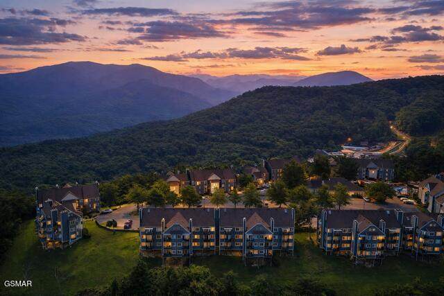 1260 Ski View Drive - Photo 1