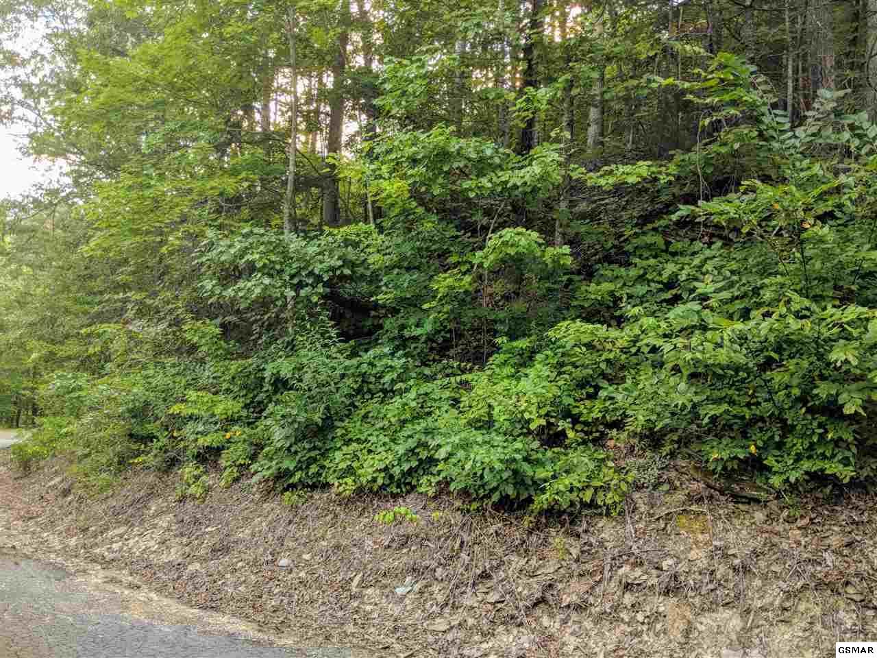 Lot 18 Sunset Rd - Photo 1