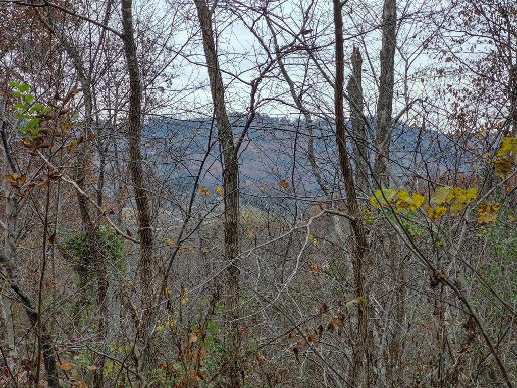 LOT 24 Spring View Dr. - Photo 1
