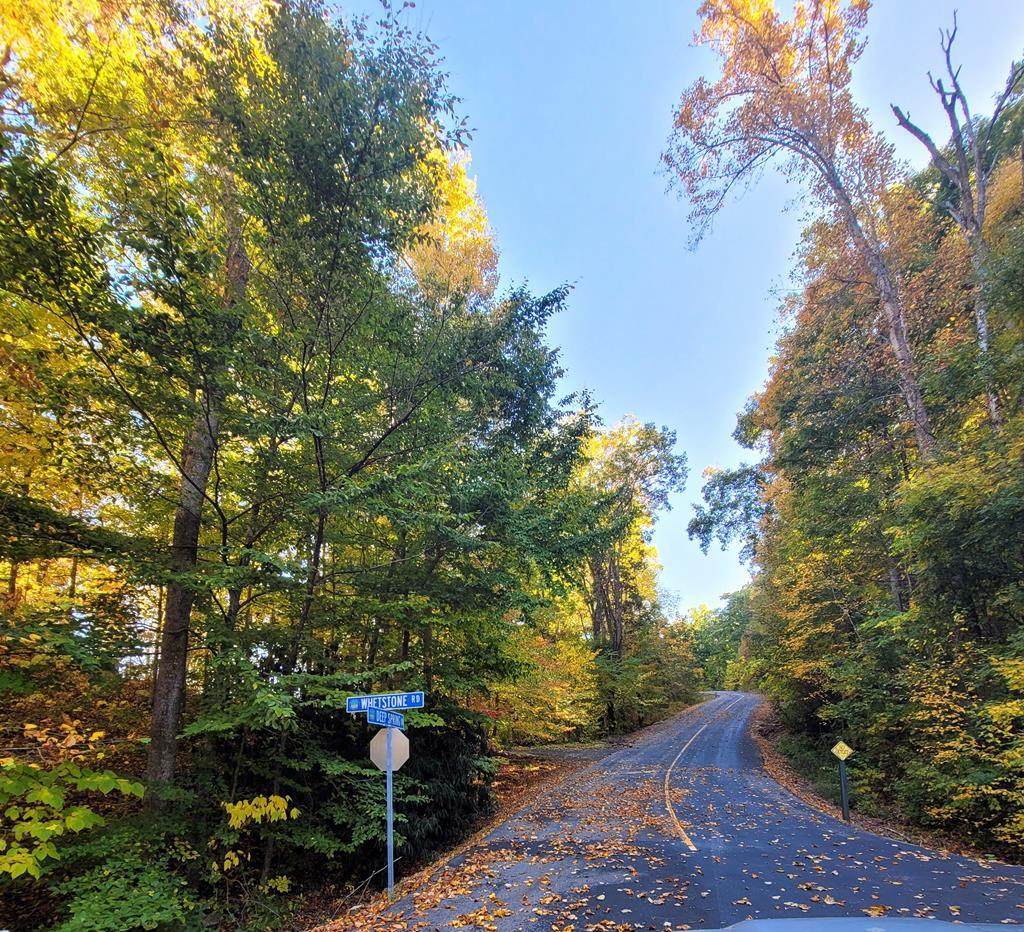 Lot 6 Deep Spring Ln - Photo 1