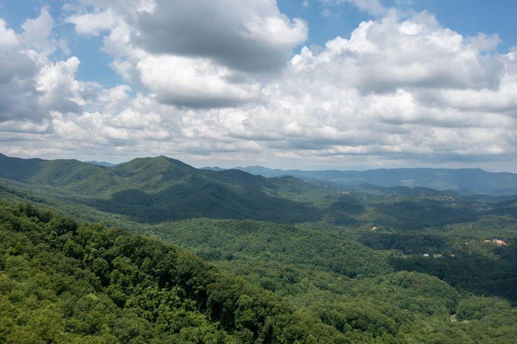 Lot 19 Laurel Top Way - Photo 1