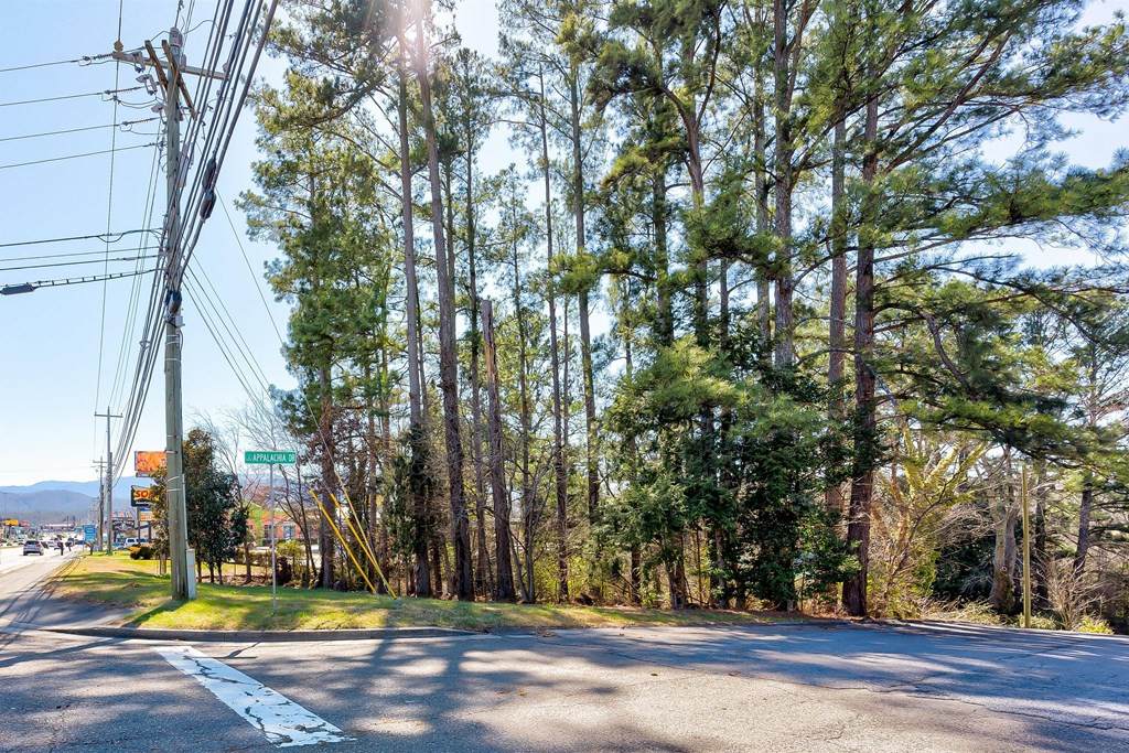 Lot 74-R Parkway - Photo 1