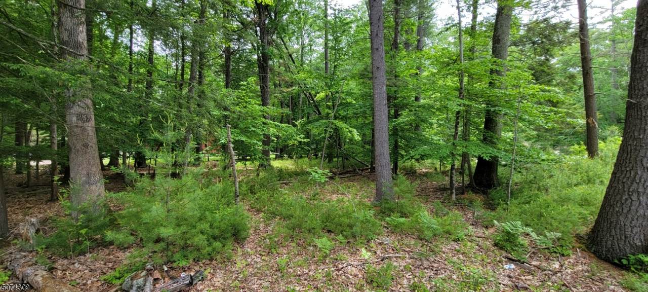 311 New Rd - Photo 1
