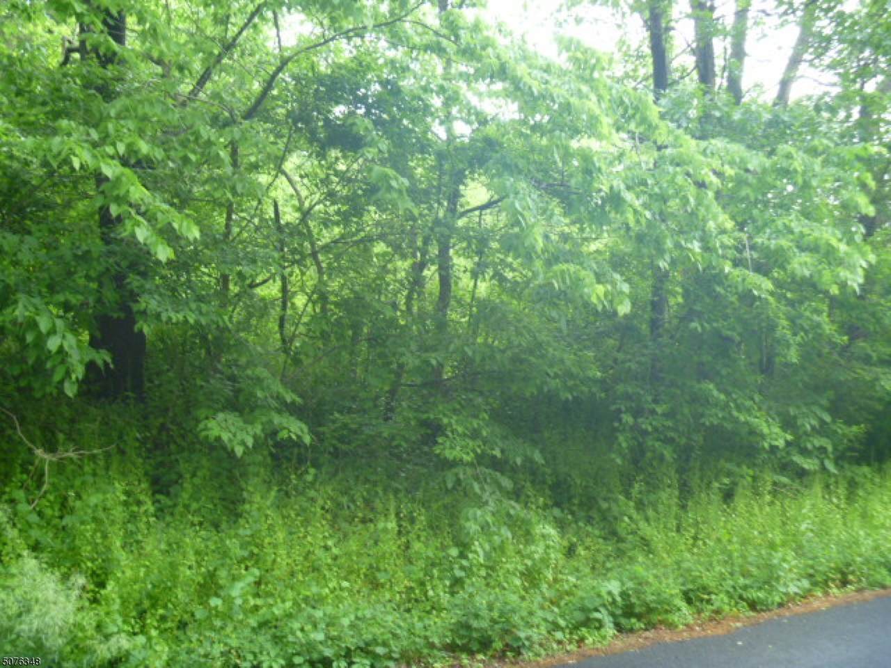 12 Cleveland Rd - Photo 1