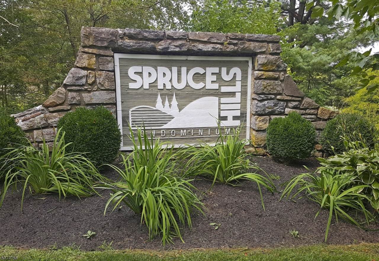 112 Spruce Hills Dr - Photo 1