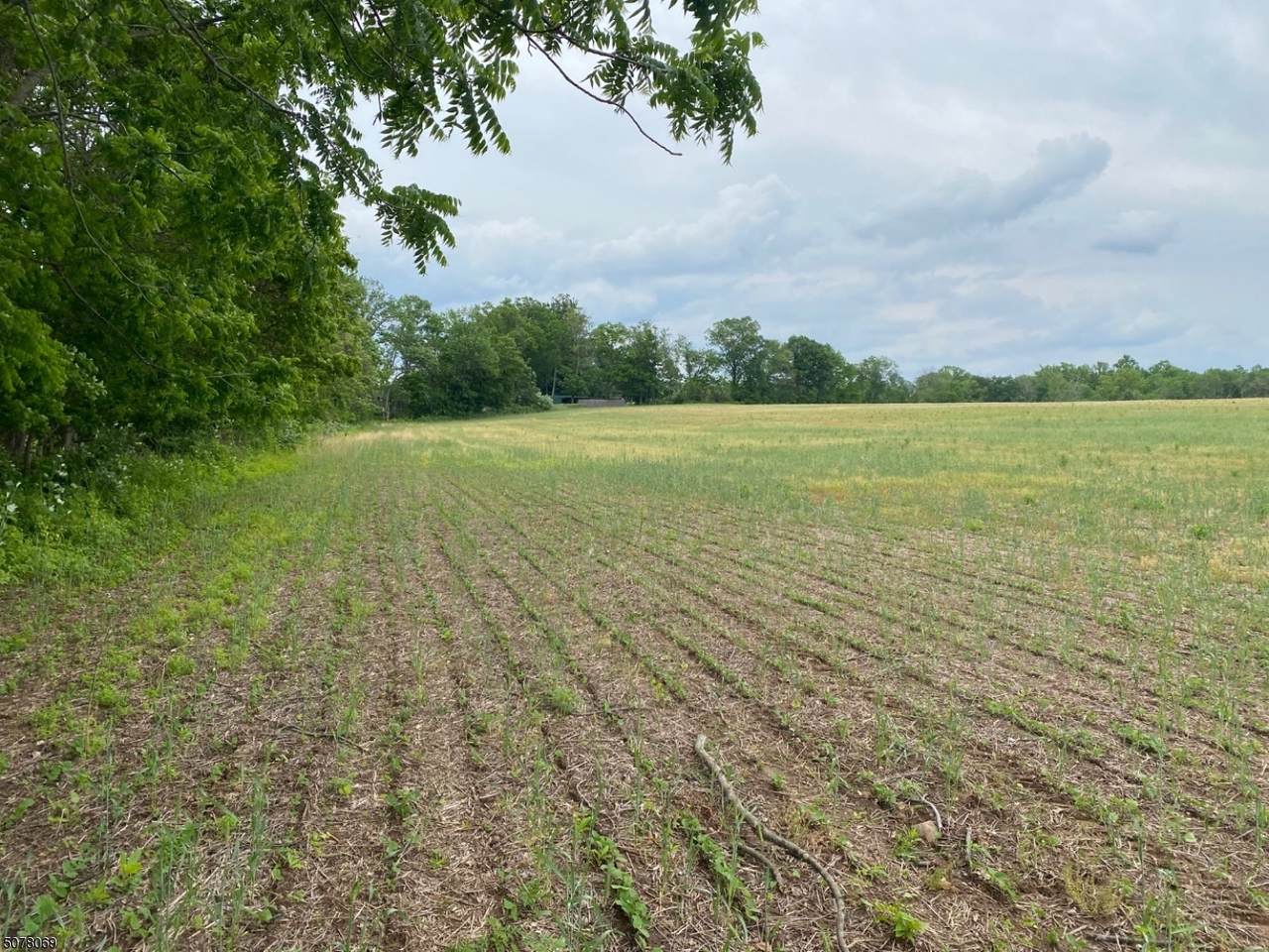 0 Mechlin Corner Rd - Photo 1