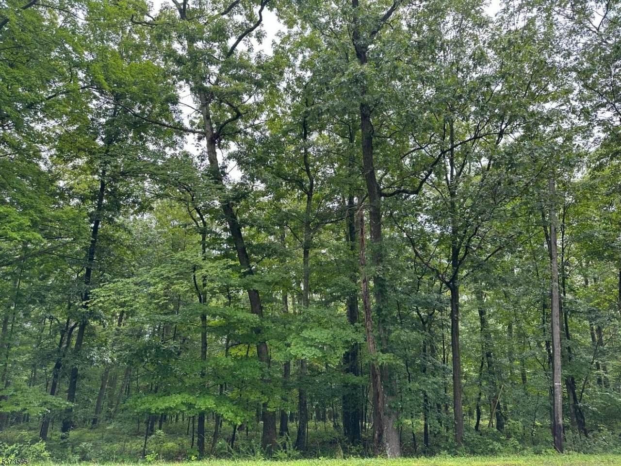 216 Mattison Reservoir Ave. - Photo 1