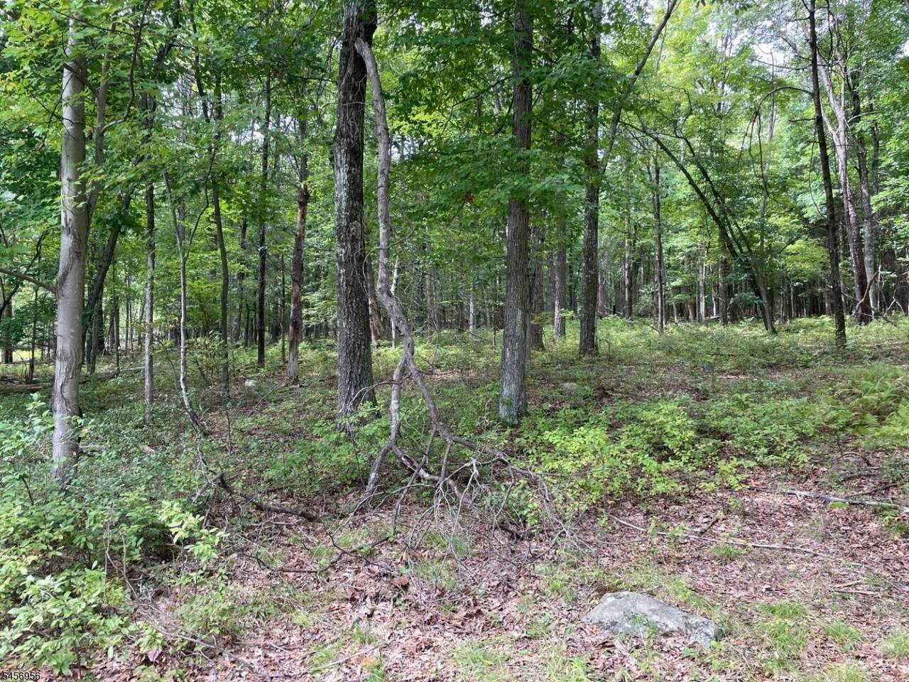 0 Owassa Rd - Photo 1