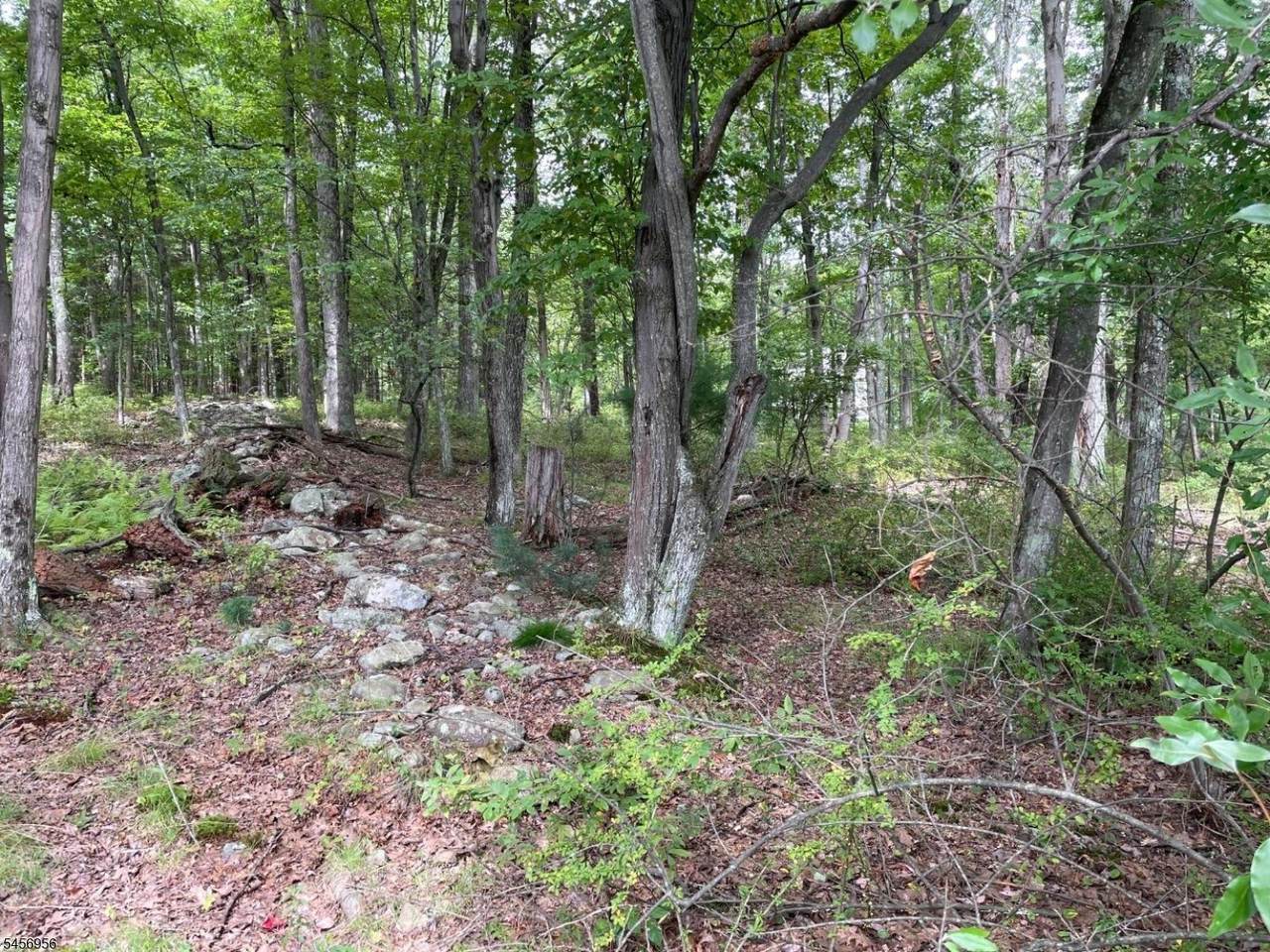 https://bt-photos.global.ssl.fastly.net/gsmls/1280_boomver_1_4049673-2.jpg