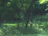 277 Route 94 - Photo 5