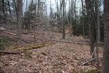 0 Mount Benevolence Rd - Photo 12