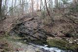 0 Mount Benevolence Rd - Photo 7