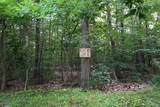 0 Peppe Ridge Dr - Photo 5