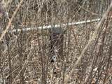 0 Decker Pond/Airport Rd - Photo 14