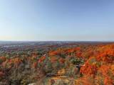 1930 Mountain Top Road - Photo 2