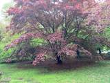 5 Henry Rd - Photo 13