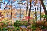 18 Lake Shore Dr - Photo 37
