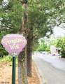 120 Willard St - Photo 10