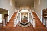 55 Forrest Stand - Photo 8