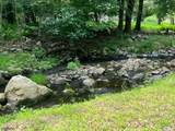 115 Bierskill Rd - Photo 19