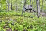 18 Hickory Run Rd - Photo 30