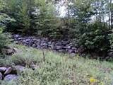 0 Shady Lane - Photo 6