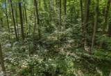 0 Sweet Hollow Rd - Photo 12