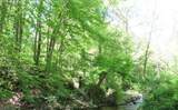 0 Sweet Hollow Rd - Photo 13
