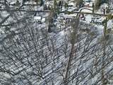 83 Devon Rd - Photo 5