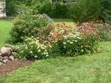 9 Hillview Ter - Photo 39