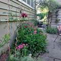 645 Roosevelt St - Photo 25