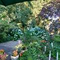 645 Roosevelt St - Photo 26