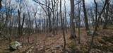 0 Upper Hibernia Rd - Photo 11